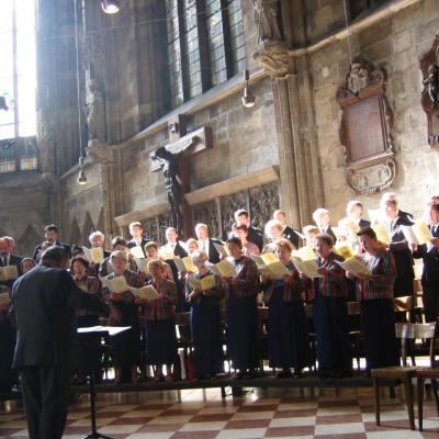 Cathédrale de Wien 15 août 2004