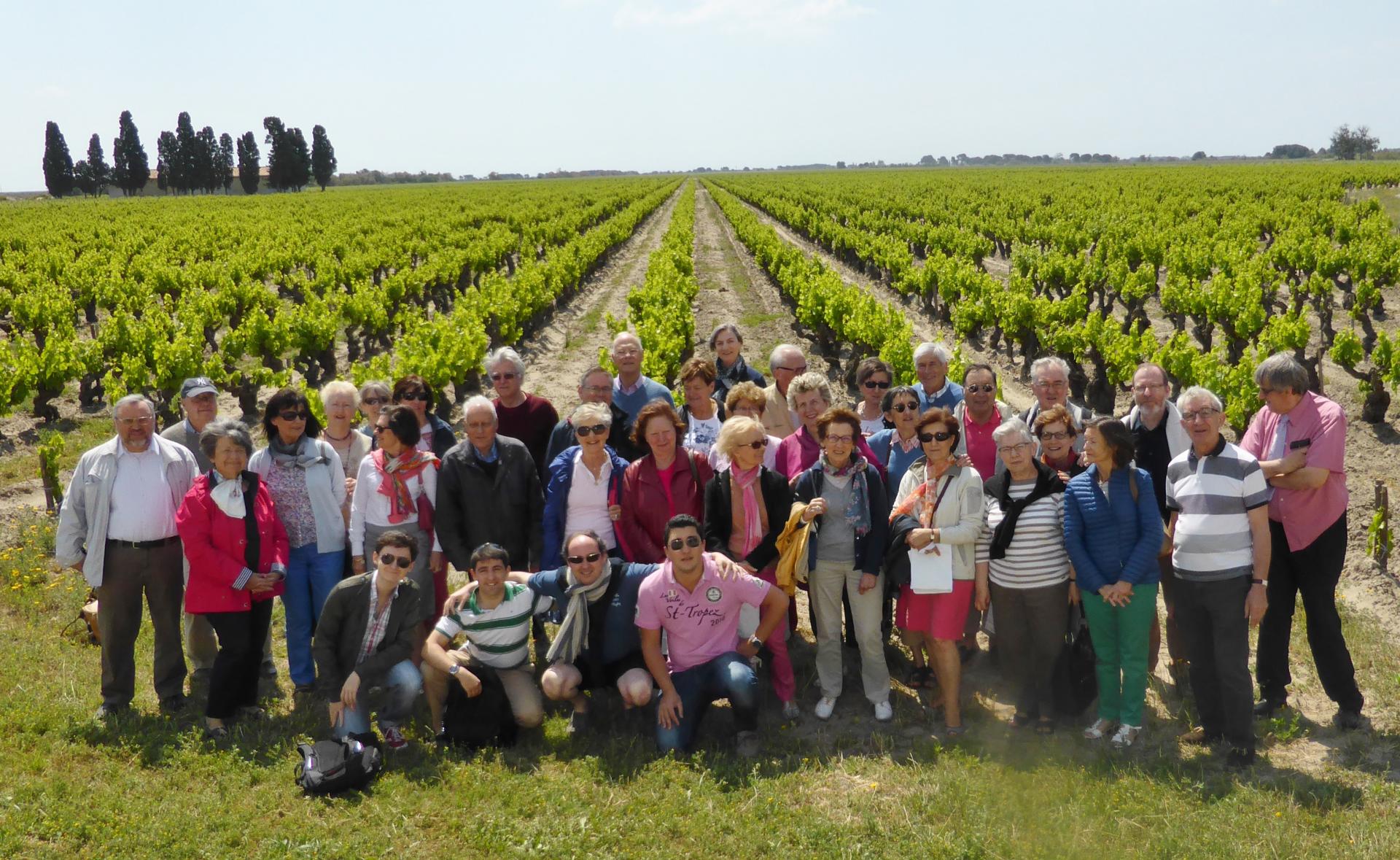 Dans les vignes de Listel